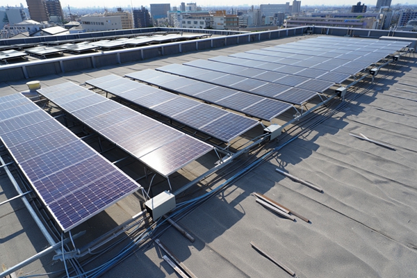 House Solar Panels Price in 2025: Installation Costs, Savings, and How to Choose the Right System