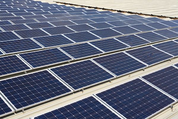 Solar Ground Mount Systems 2025: Your Ultimate Guide to Finding the Cheapest