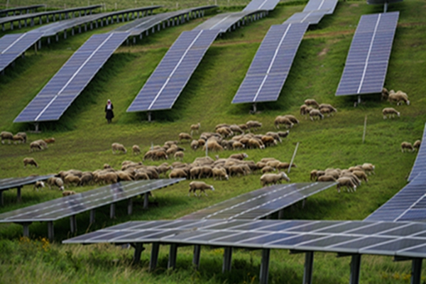 Building the Future: Expert Solutions for Photovoltaic Power Station Construction, Design, and Agricultural Integration