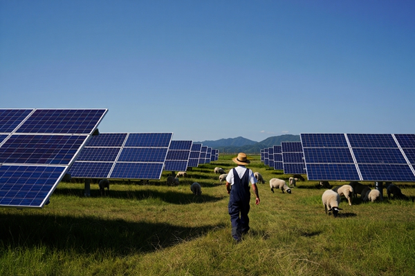 Agri-Voltaic Mounting Solutions: Maximize Land Efficiency with Solar Tracking Systems for Agricultural Installations