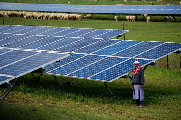 Farmland Solar Structures: Maximize Land Efficiency with Agri-Voltaic Mounting Solutions