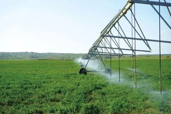 Slash Water Costs 90%: The Ultimate Solar Water Pump Guide for Farms