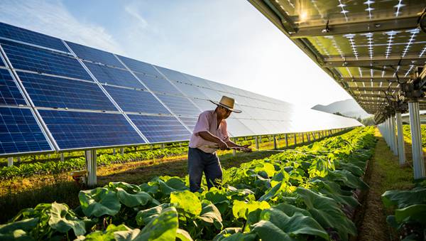 Hurricane-Proof Solar: 10-Day Installations With Local Certified Teams