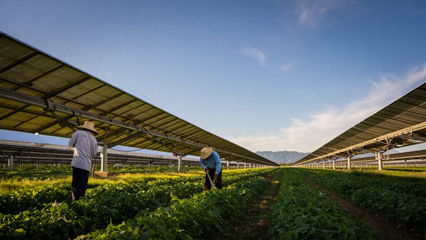 Sun Power Solar Panels: Calculate Home Needs