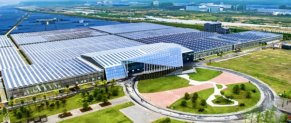 Understanding Solar Power: How It’s Produced, Energy Output, and Why It’s Your Smart Choice