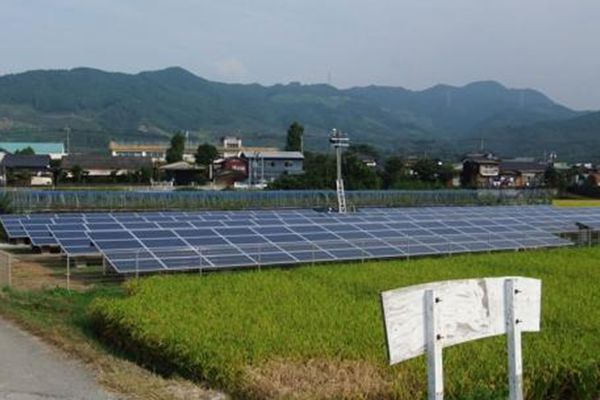 Elevate Your Energy Game with High - Performance Solar Panels Ground Mounted Systems