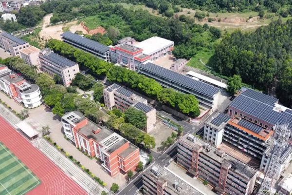 Transform Your Flat Roof into an Energy Hub: Mastering Flat Roof Mounted Solar Panels