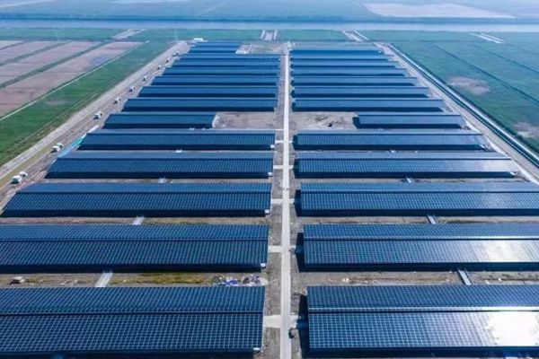 Solar Ground Mount System: High-Efficiency Mounting
