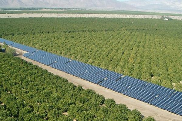 Why Professional Installers Choose Ground Mount Solar Systems