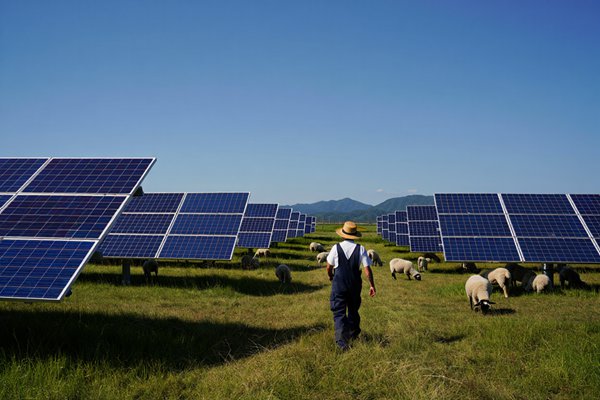 Nuclear vs Solar Power: Off-Grid Solutions