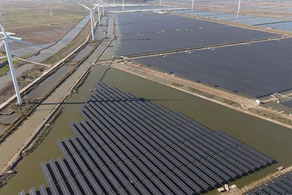 Ground Mount Solar Panel Systems: Optimizing Energy Harvest with Fixed and Tracking Solutions