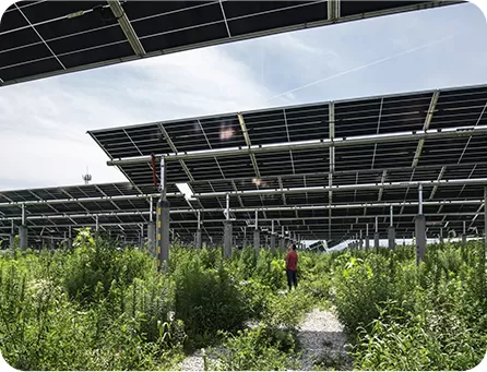 Agricultural photovoltaic complementary  centralized photovoltaic project