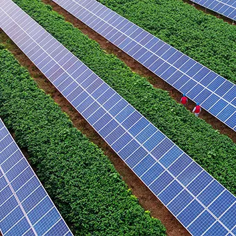 Farmland Solar Mounting
