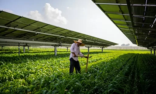 Agricultural Photovoltaic Complementary Power Stations: Maximizing Land Efficiency & Energy Output for Sustainable Farming