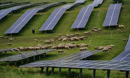 Building the Future: Expert Solutions for Photovoltaic Power Station Construction, Design, and Agricultural Integration