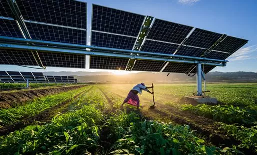 Farmland Solar Structures: Maximize Land Efficiency with Agri-Voltaic Mounting Solutions