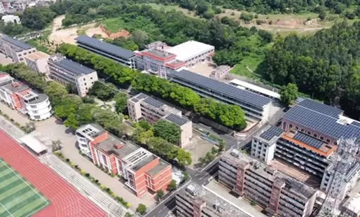 Transform Your Flat Roof into an Energy Hub: Mastering Flat Roof Mounted Solar Panels