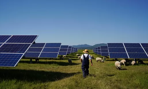 Local Solar Solutions: Custom PV Systems & Power Plants for Reliable Energy