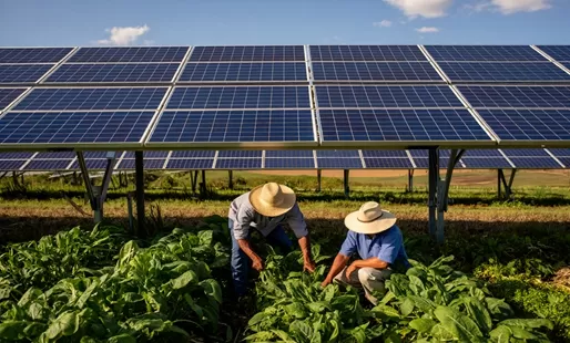 Transform Your Home with Solar Power: Panels, Practicality, and Profitable Benefits