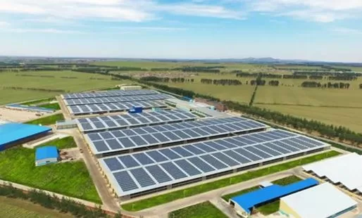 20kW Ground Mount Solar Systems: Market Trends and Efficient PV Panel Mounting Solutions